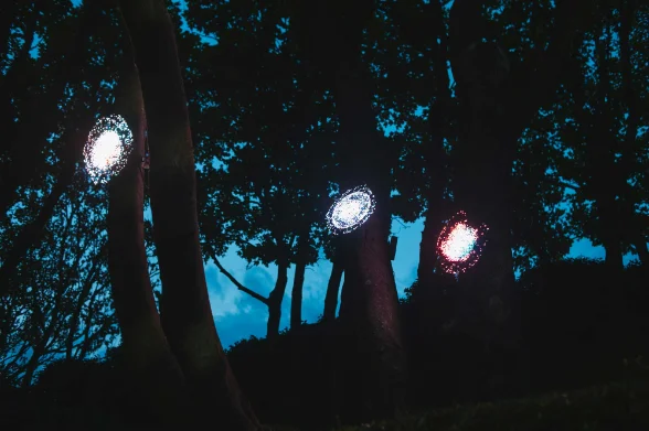 Trois hélices dissimulées dans les arbres d'un parc, apparitions lumineuses dans le feuillage de nuit.